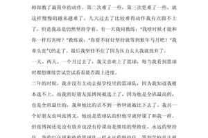 篮球训练的自我评价简短