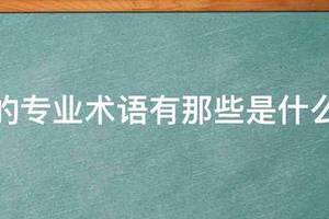 篮球训练术语大全视频播放